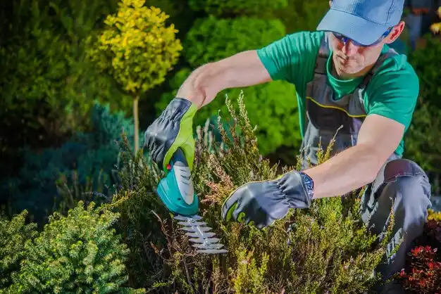 landscaping services Belle Center